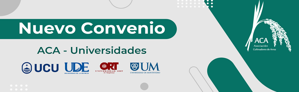 universidades